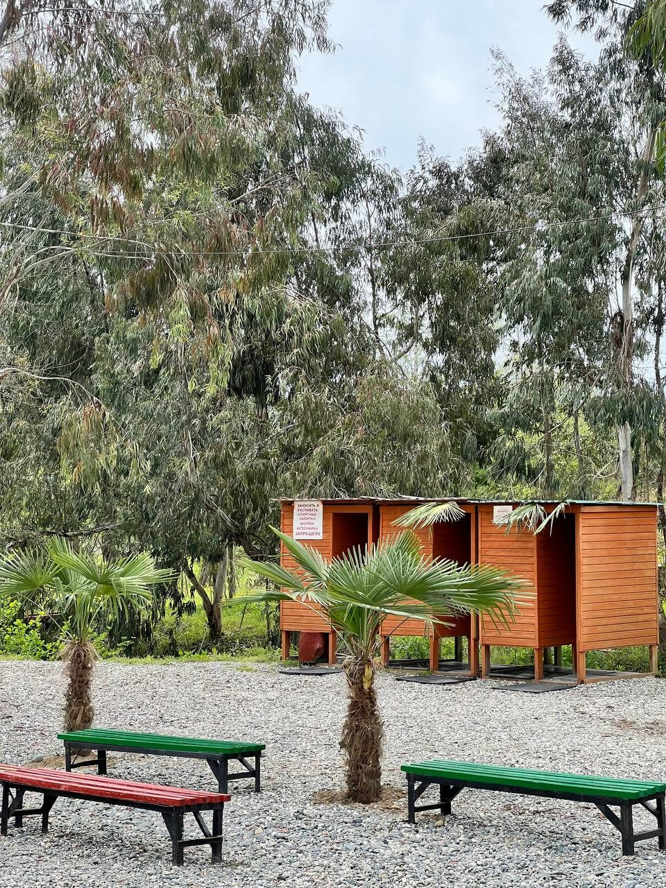 Профессиональный свадебный фотограф в Сочи для вашего идеального дня. Свадебный фотограф в Абхазии, Сухум, Гагра, Сочи