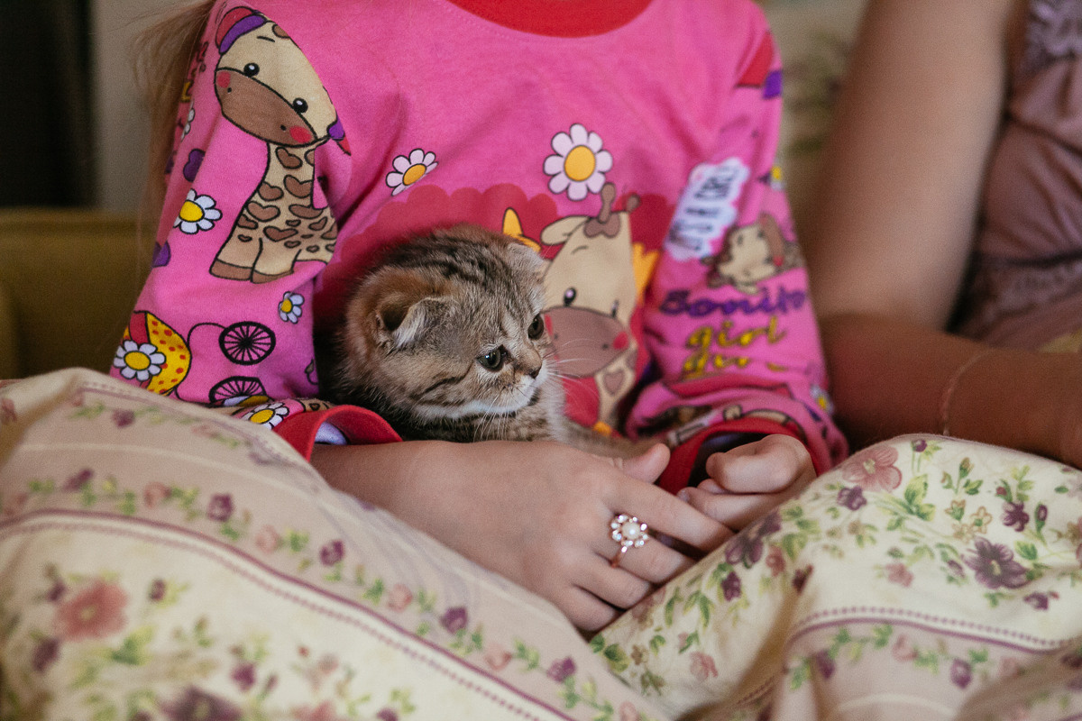Сеситрички-лисички. Семейный и свадебный фотограф в Москве Жнякина Юлия