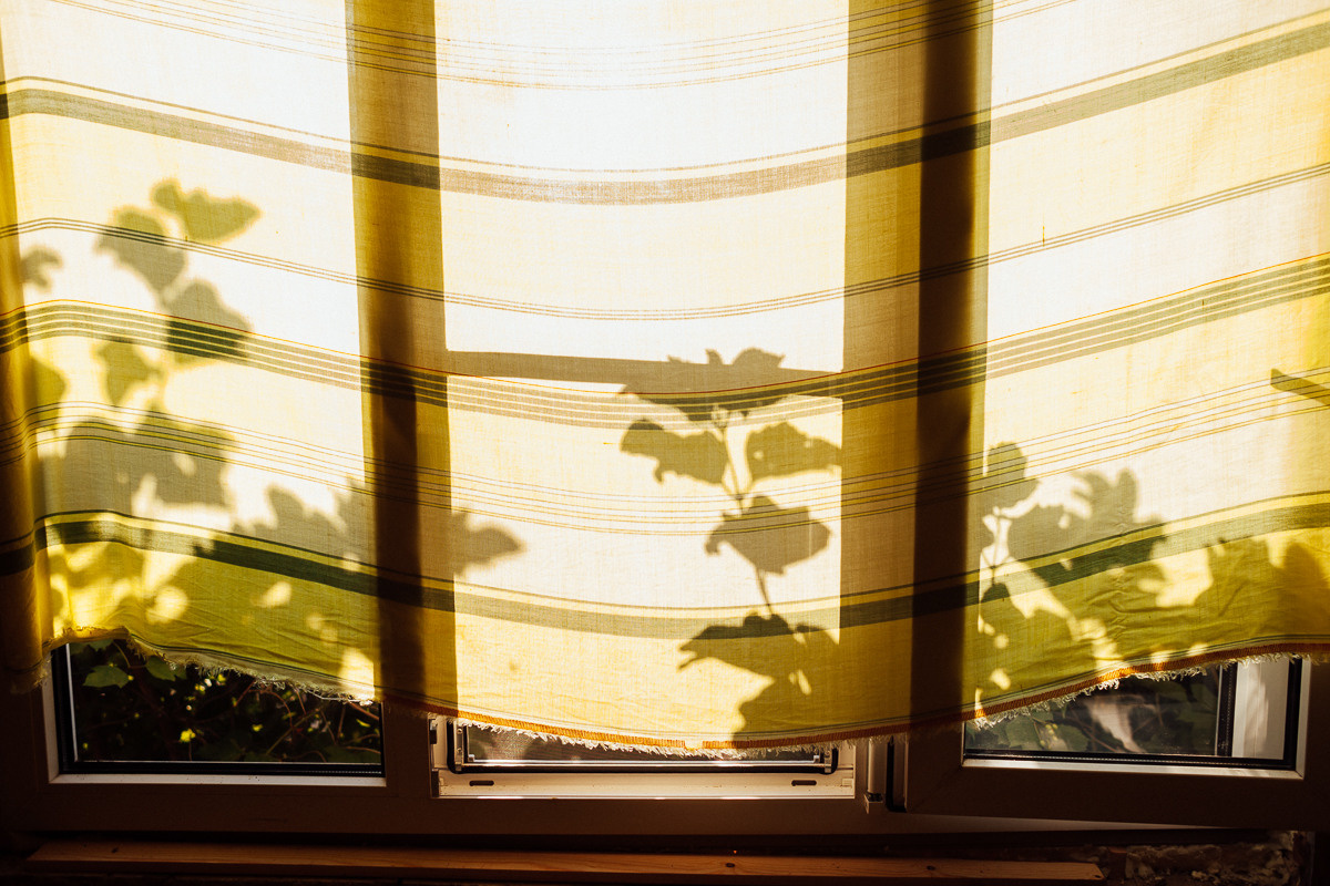 Дачная серия. Семейный и свадебный фотограф в Москве Жнякина Юлия