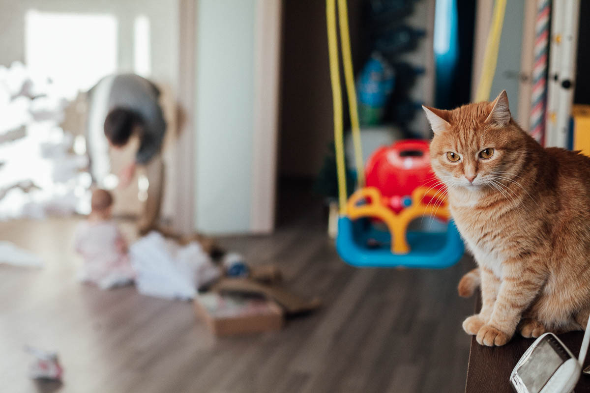 Семейный новый год. Семейный и свадебный фотограф в Москве Жнякина Юлия