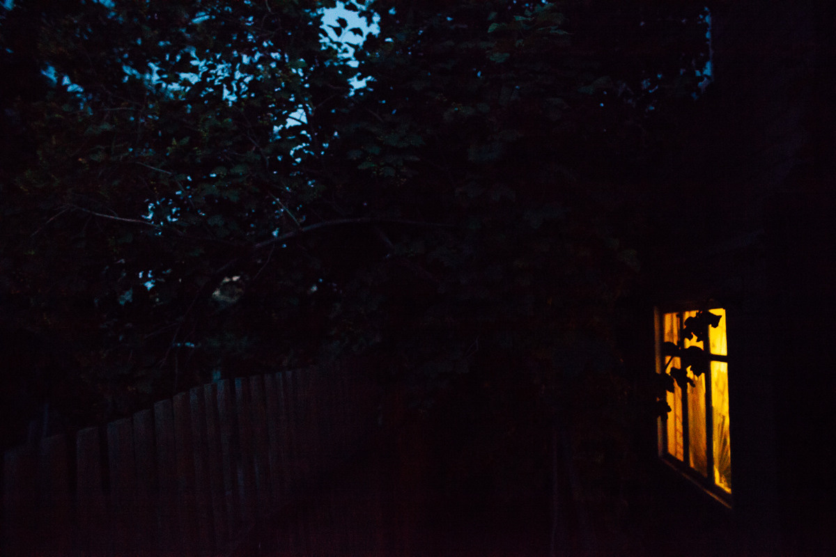 Дачная серия. Семейный и свадебный фотограф в Москве Жнякина Юлия