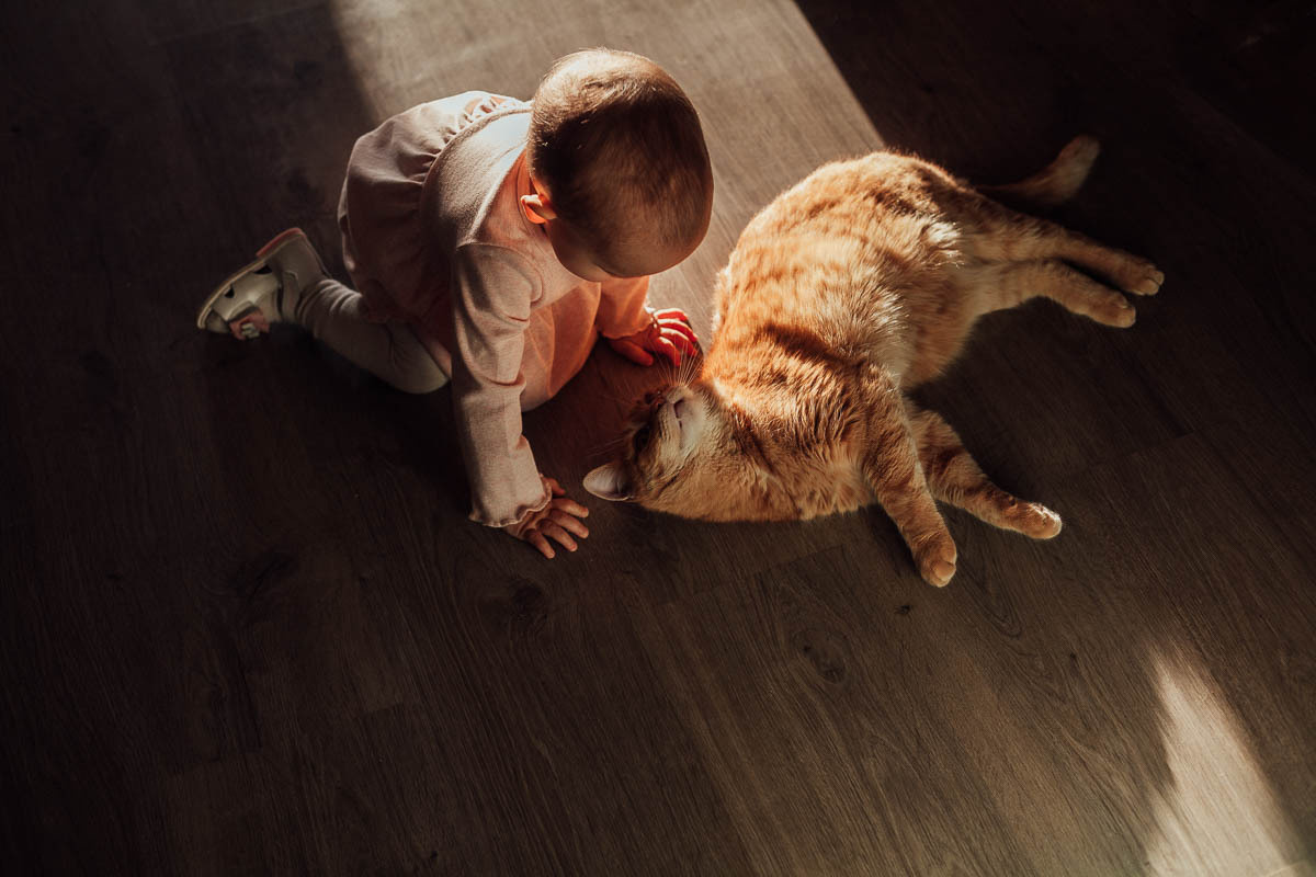 Семейный новый год. Семейный и свадебный фотограф в Москве Жнякина Юлия