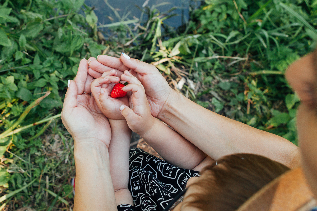 Прогулка по Лосиному острову. Семейный и свадебный фотограф в Москве Жнякина Юлия