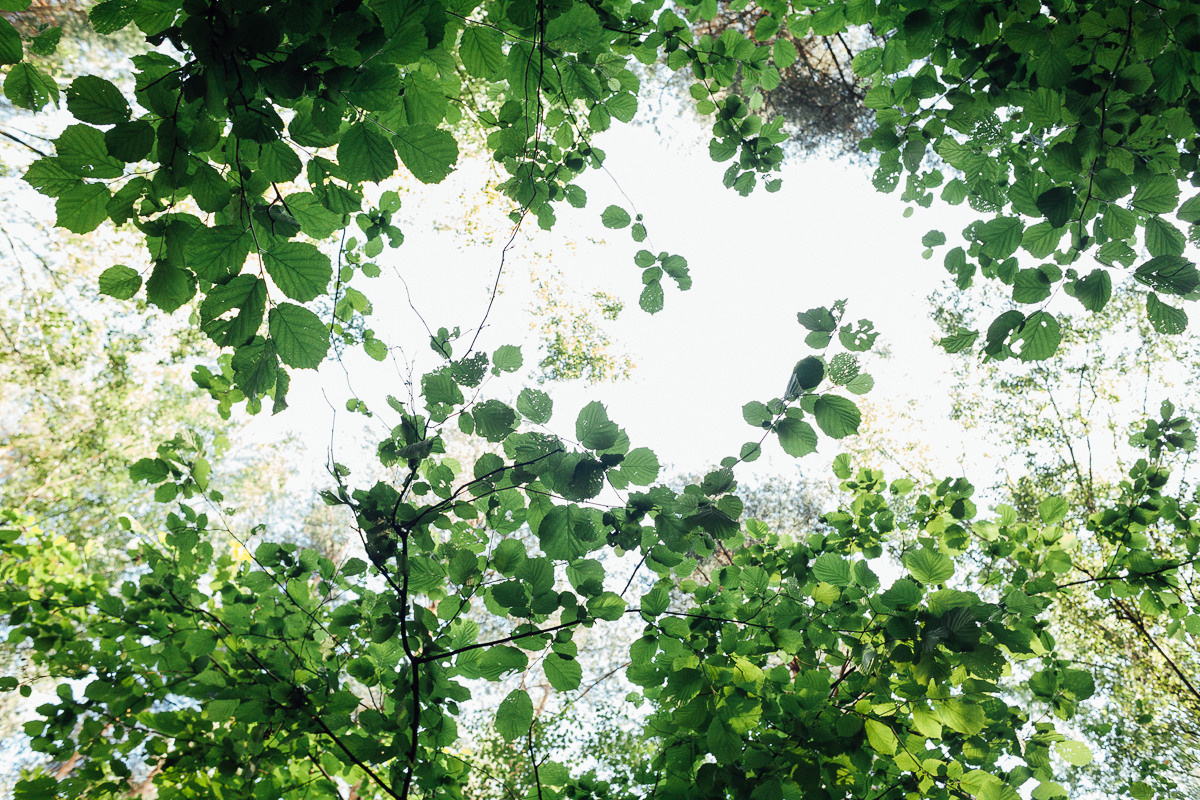 Прогулка по Лосиному острову. Семейный и свадебный фотограф в Москве Жнякина Юлия