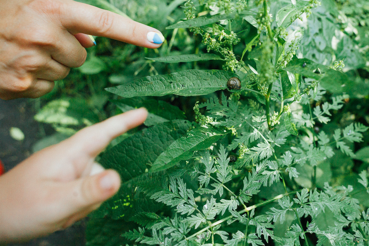 Прогулка по Лосиному острову. Семейный и свадебный фотограф в Москве Жнякина Юлия