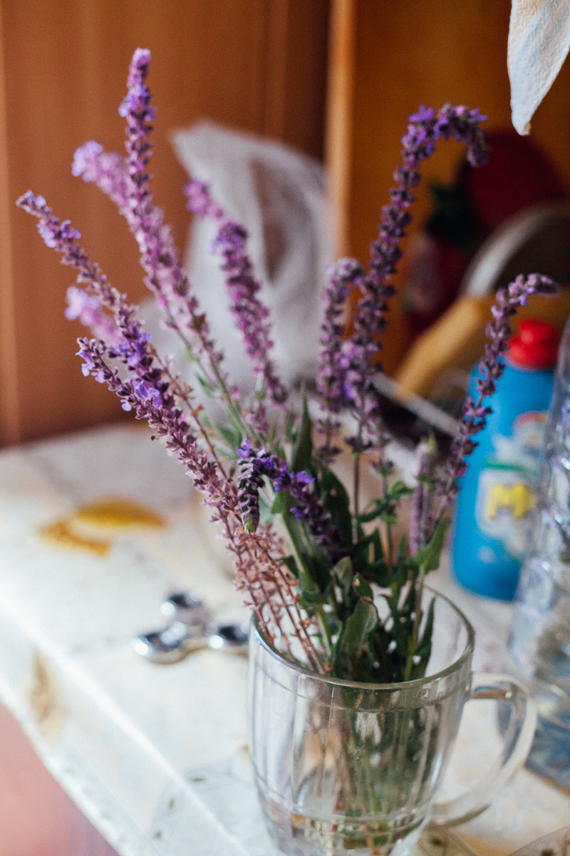 Дачная серия. Семейный и свадебный фотограф в Москве Жнякина Юлия