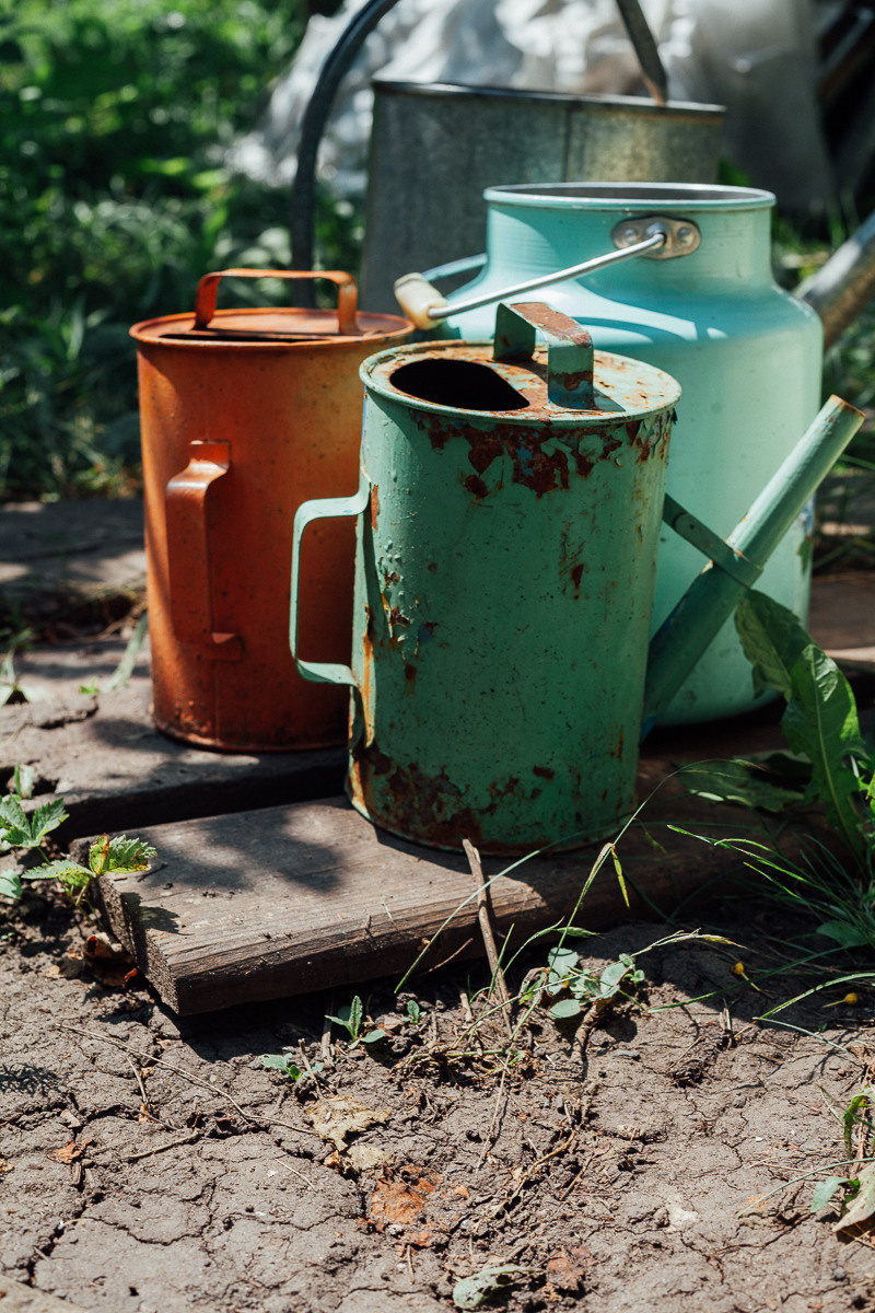 Дачная серия. Семейный и свадебный фотограф в Москве Жнякина Юлия