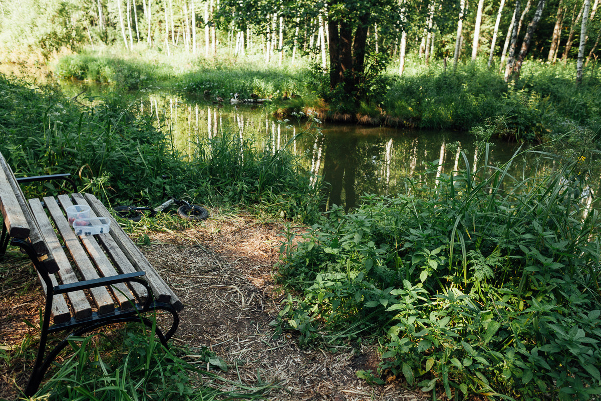 Прогулка по Лосиному острову. Семейный и свадебный фотограф в Москве Жнякина Юлия