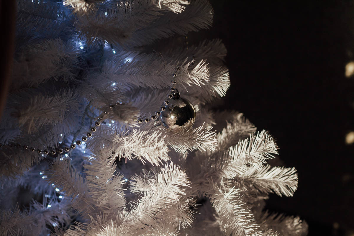 Семейный новый год. Семейный и свадебный фотограф в Москве Жнякина Юлия