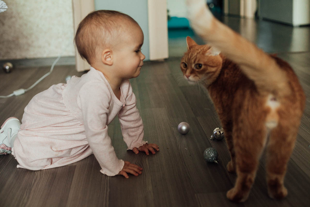 Семейный новый год. Семейный и свадебный фотограф в Москве Жнякина Юлия