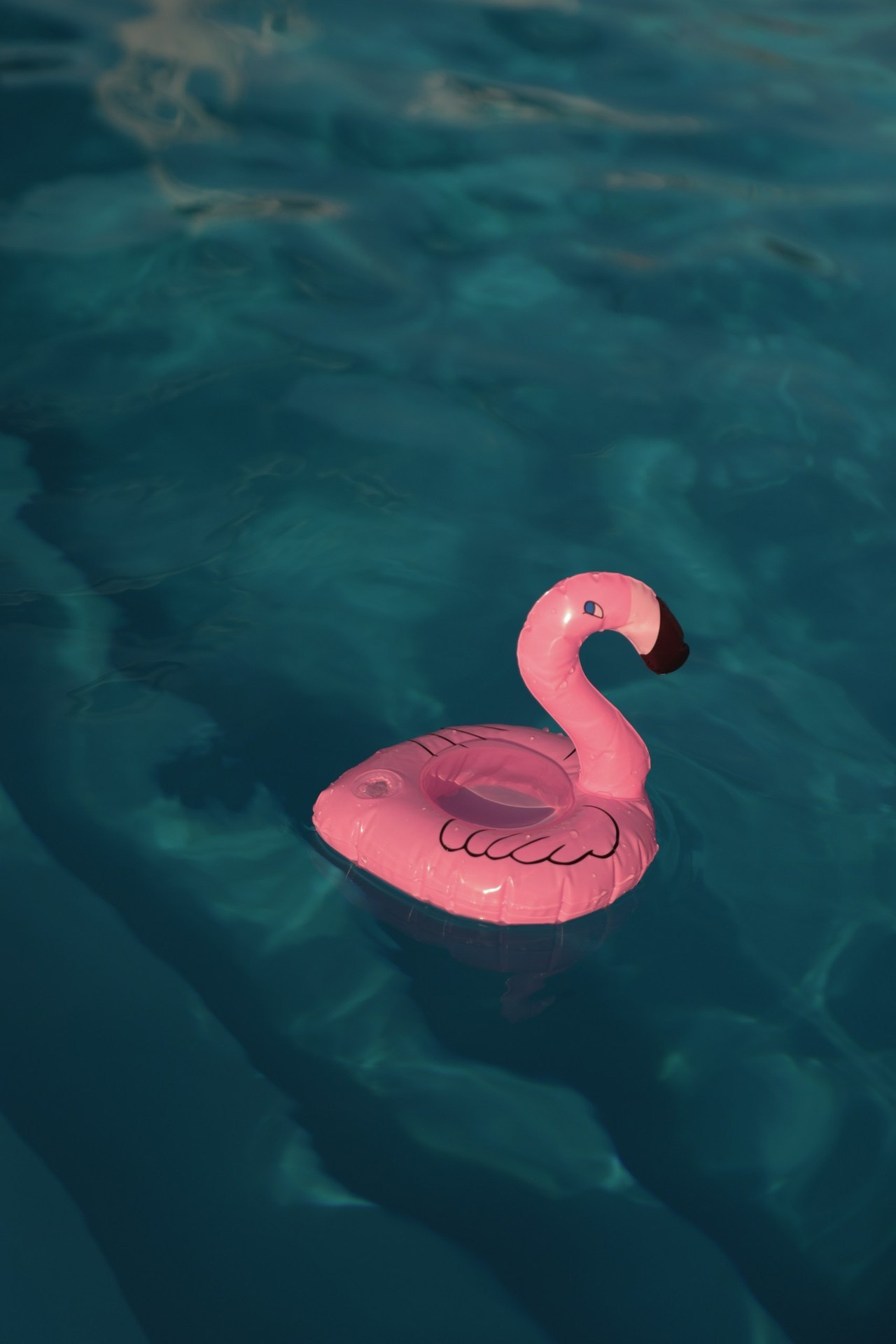 Отзывы. Фотограф Романова Анна