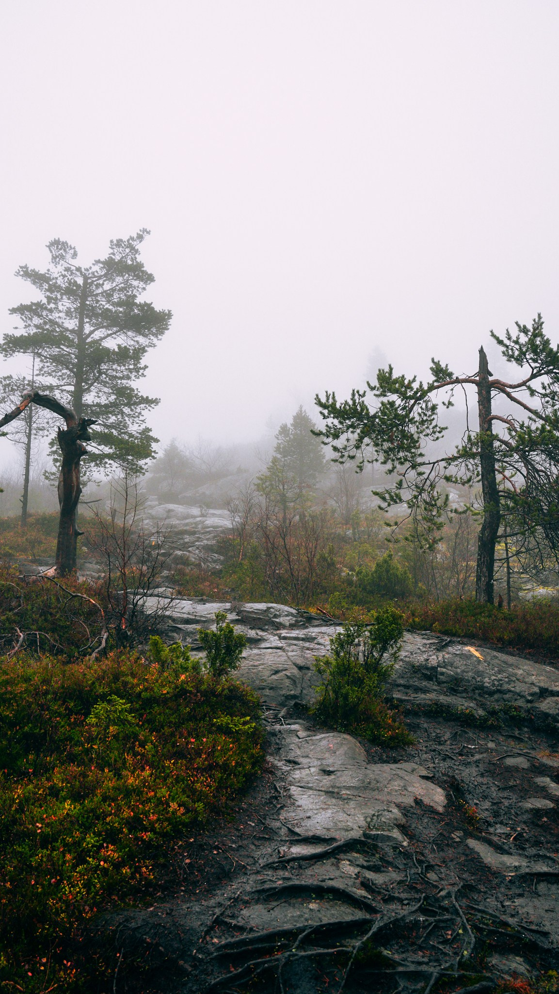 Умба. Человек с фотокамерой