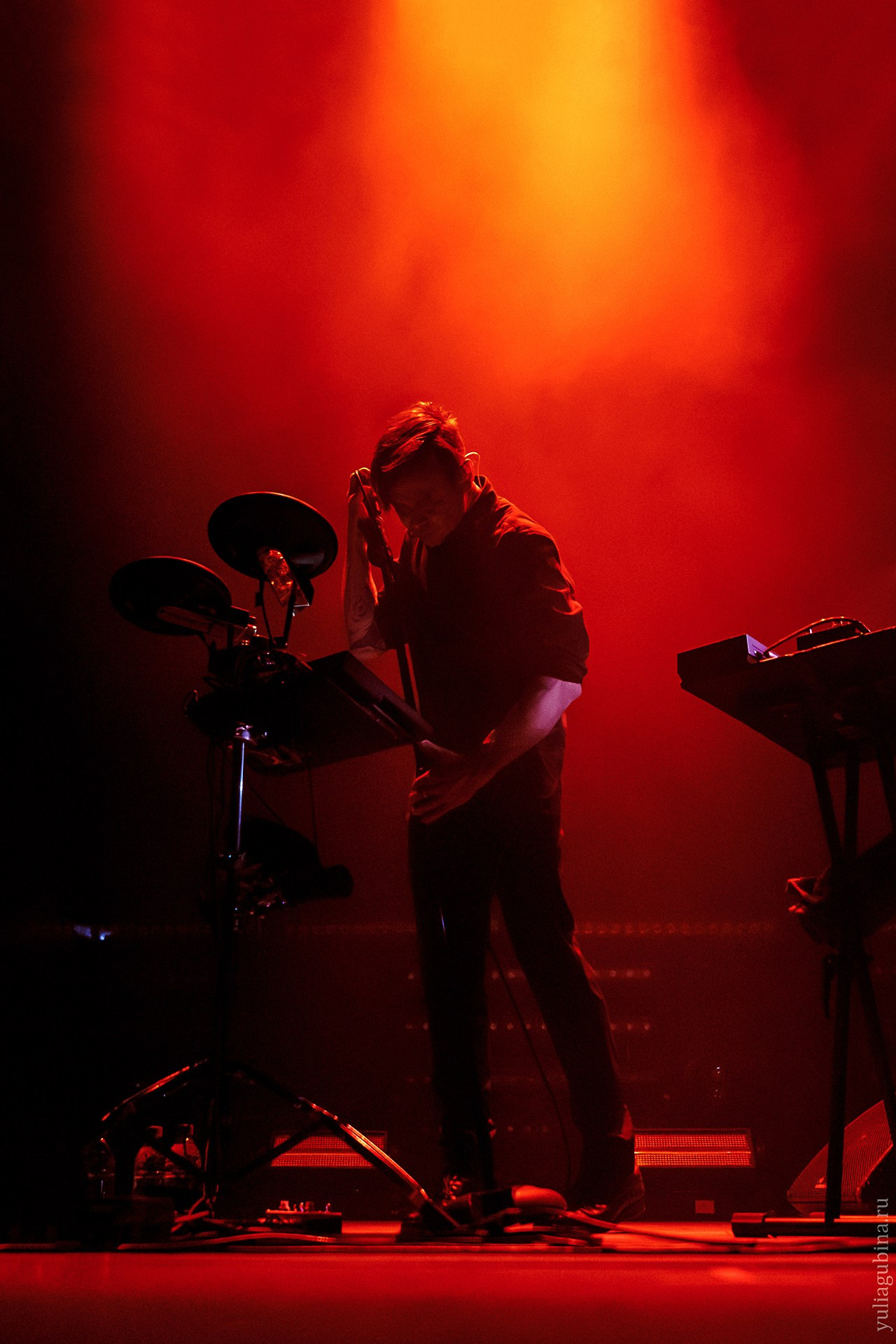 Дельфин, 01.12.24, Atmosphere