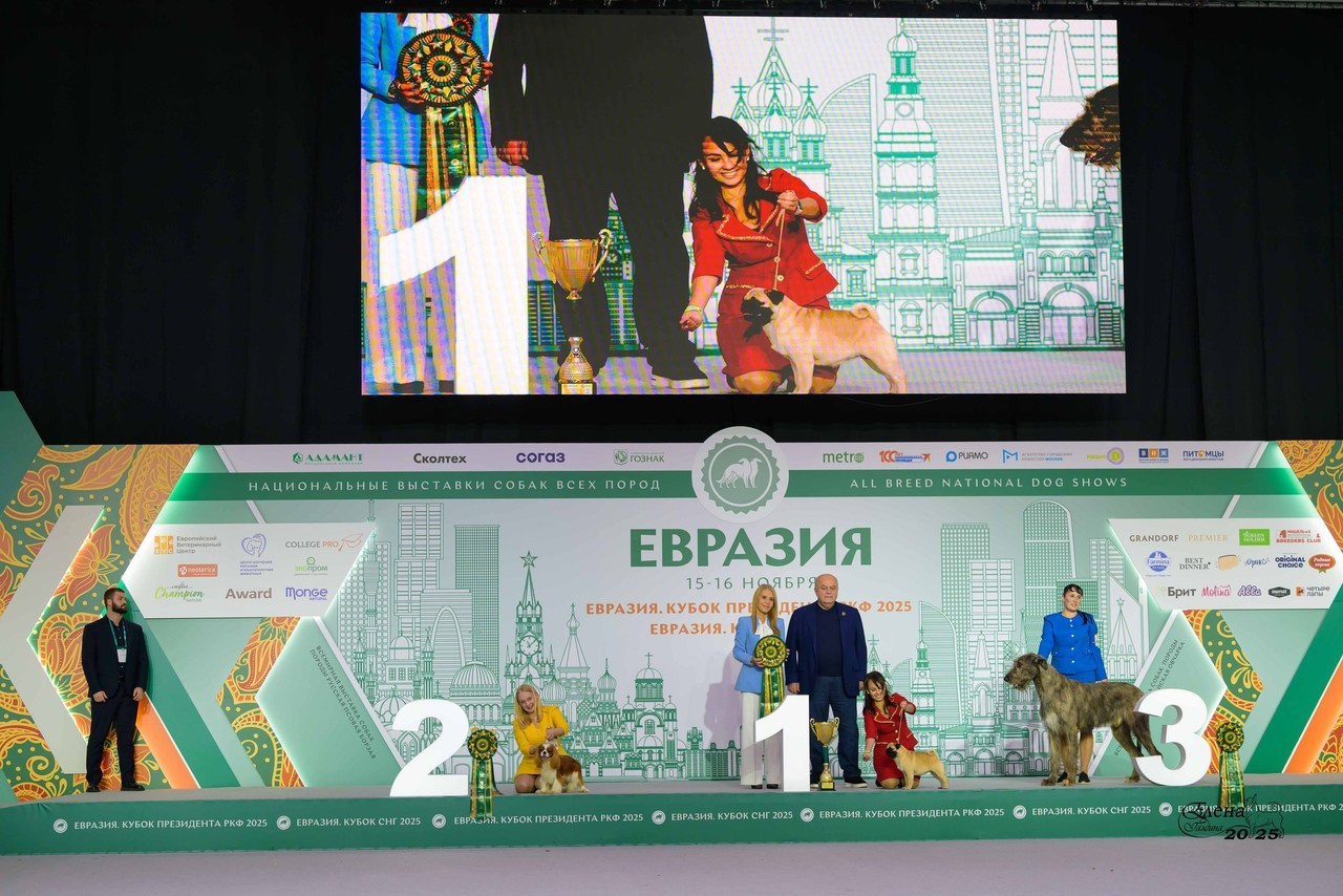 💕Отзывы. Фотограф анималист Елена Галдина г. Красноярск