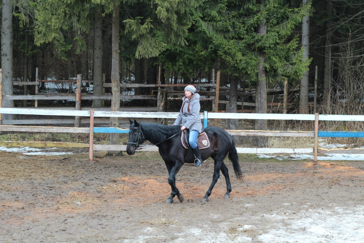 Лошадинг+шашлычинг | 02.04.2016. Галерея Фантим