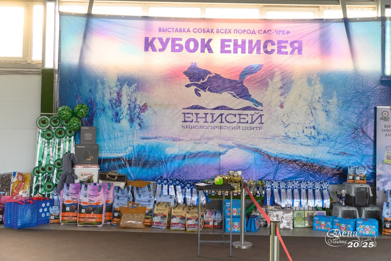 Отзывы. Фотограф анималист Елена Галдина г. Красноярск