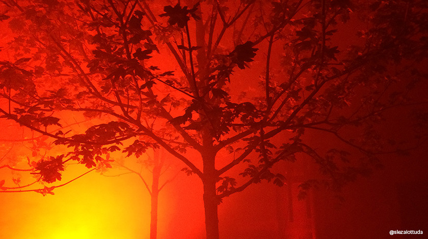 DRЁMA / 2019. OOPS TEAM