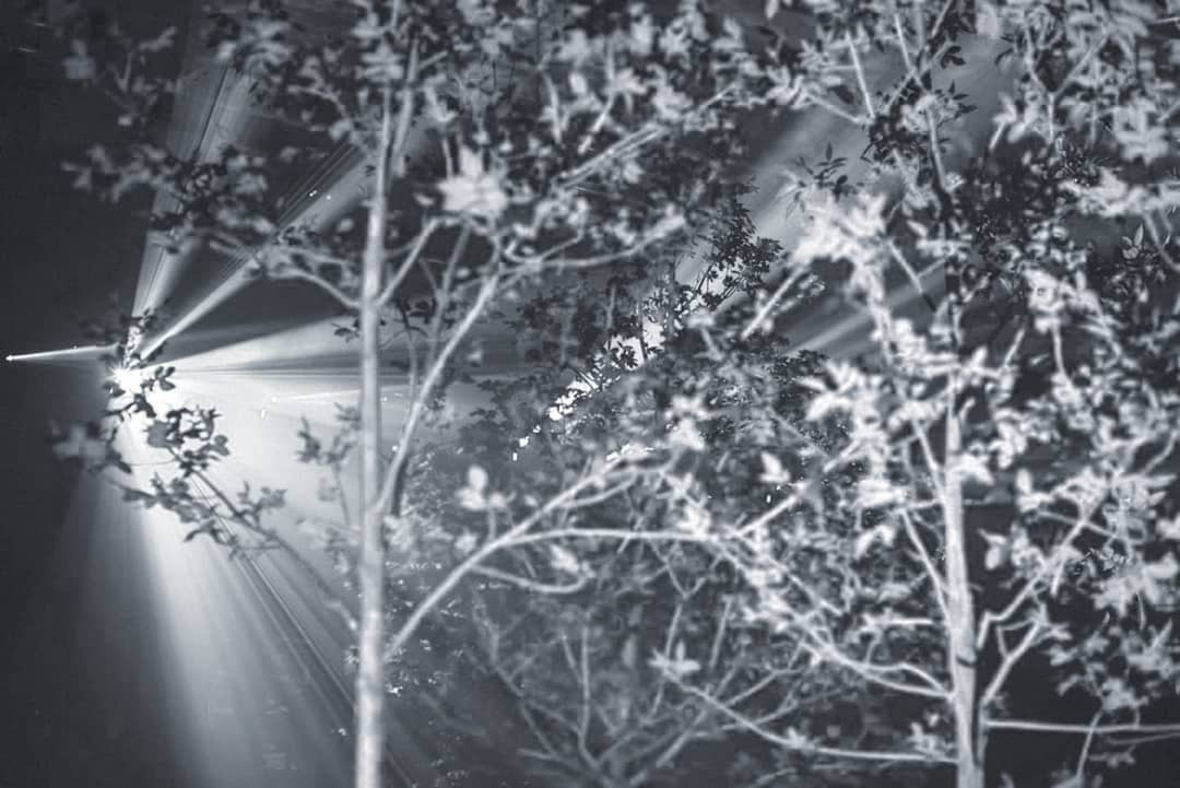 DRЁMA / 2019. OOPS TEAM