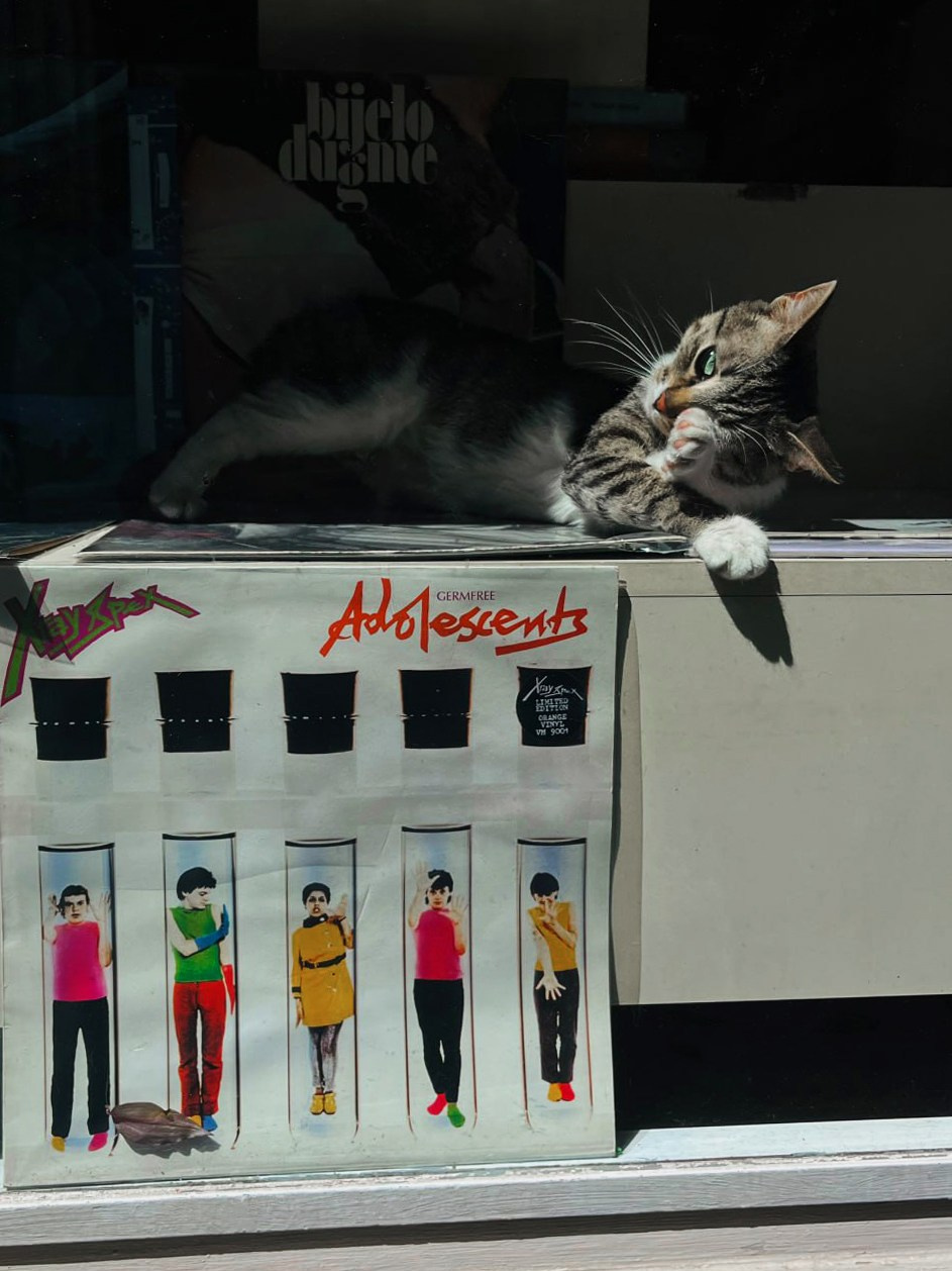 Istanbul, Turkey. Photographer Alina Skitovich