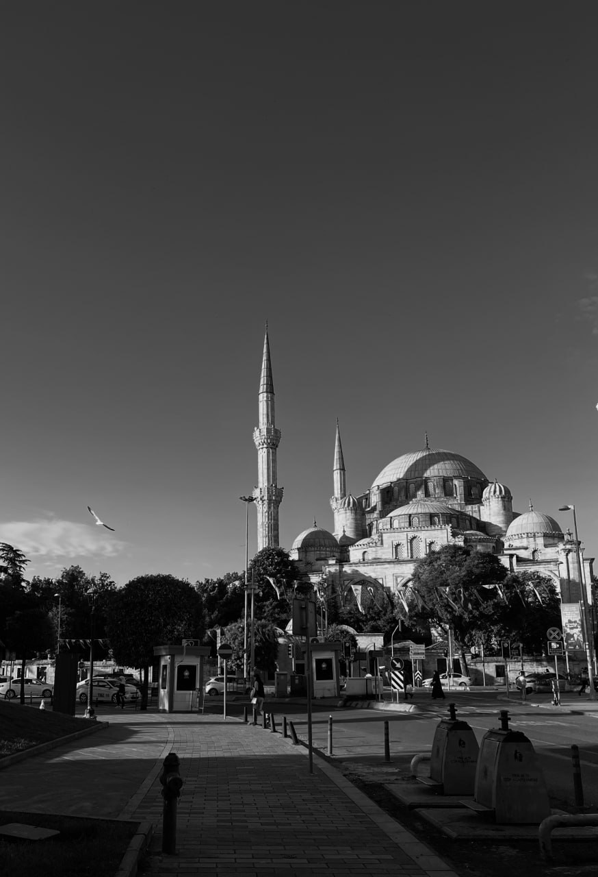 Istanbul, Turkey. Photographer Alina Skitovich