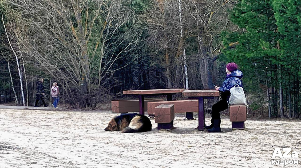 AZакадром «Фотофанты». Женский семейный фотограф Тула Москва Захарова Анна