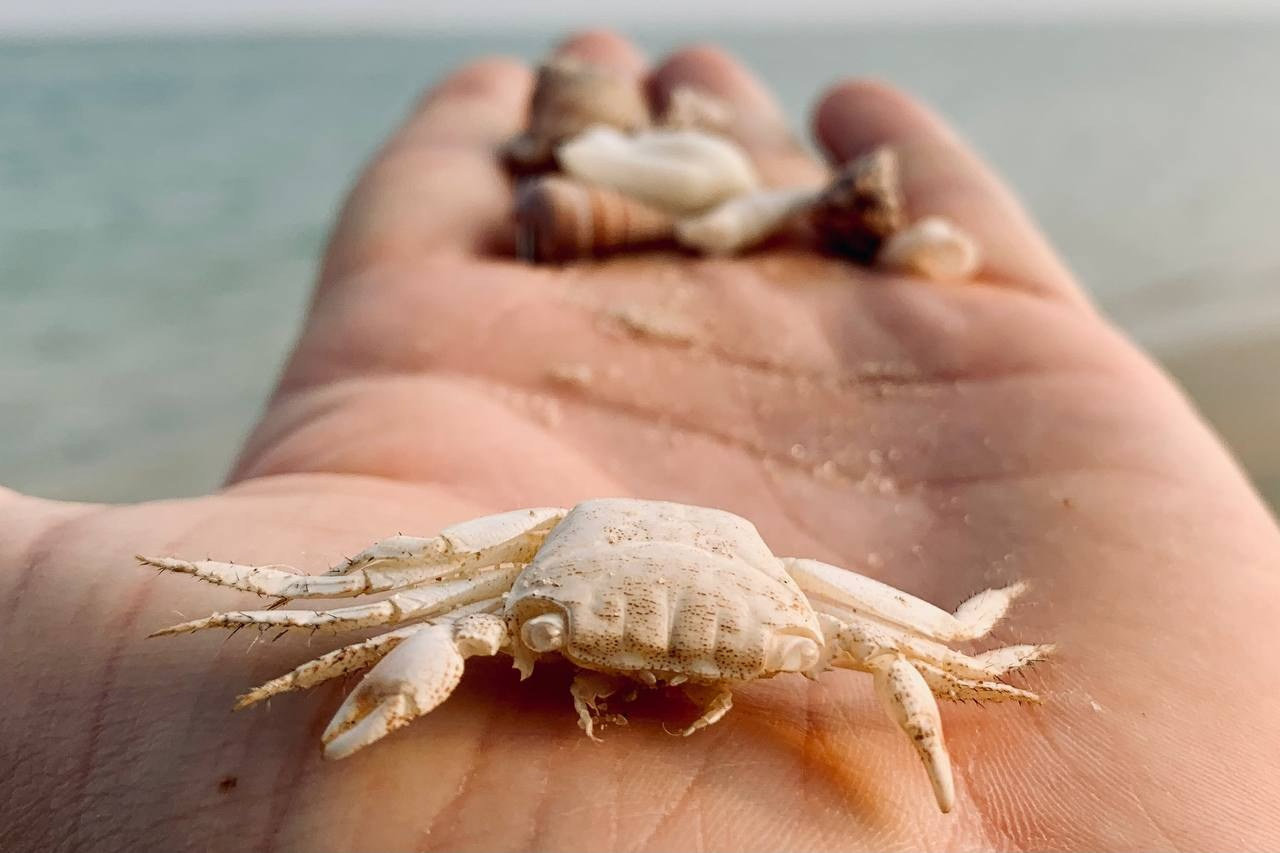 Эль-Джубайль. СА. 2025. Фотограф Михаил Олейник