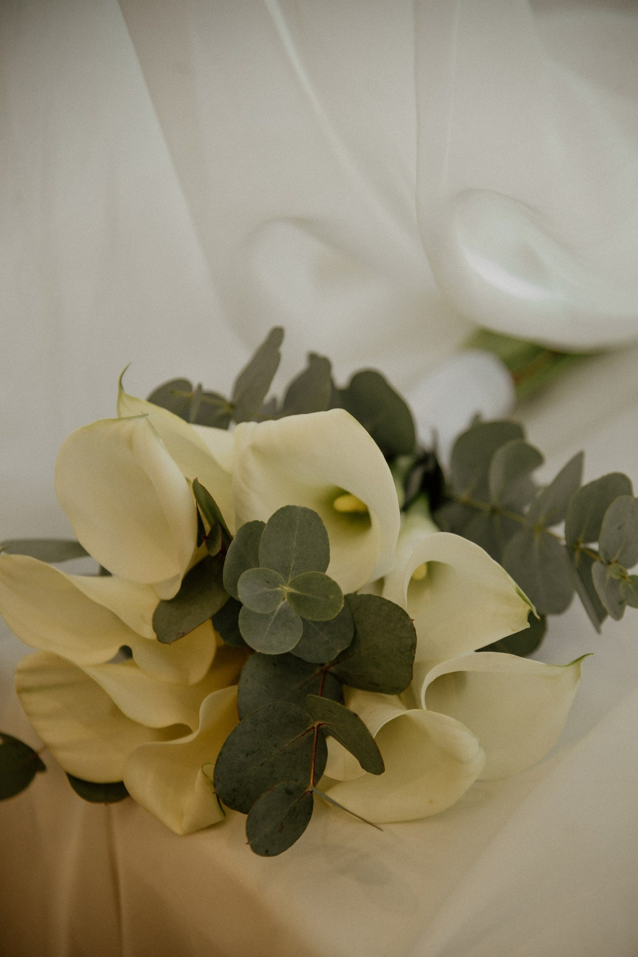 Отзывы. Фотограф Алёна Евграфова