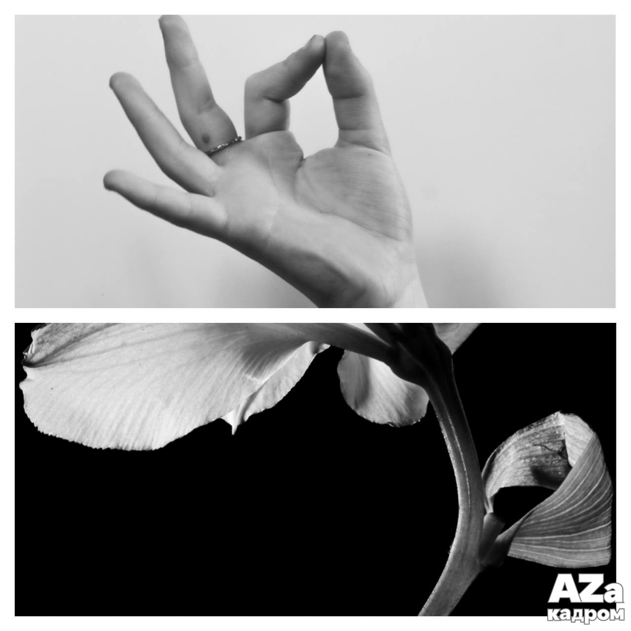 Диптихи. Женский семейный фотограф Тула Москва Захарова Анна