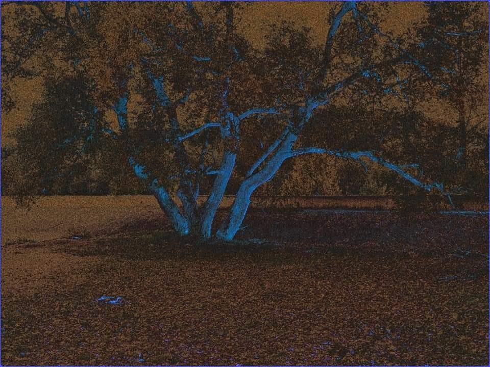 Malamoonki. Катерина Малама арт-фотограф