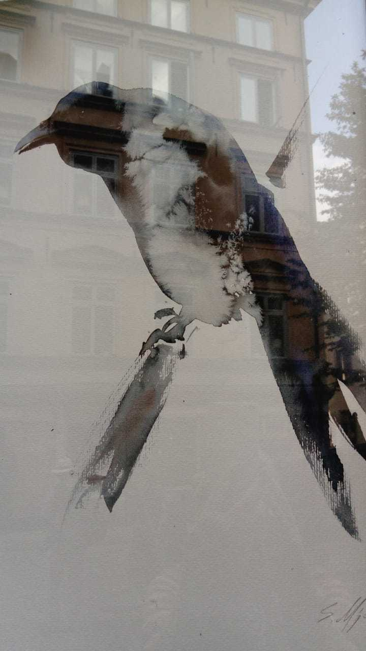 Stockholm diary. August 2-10.2019. Part 1. Наталья Мавренкова интерьерный фотограф, декоратор в Санкт-Петербурге