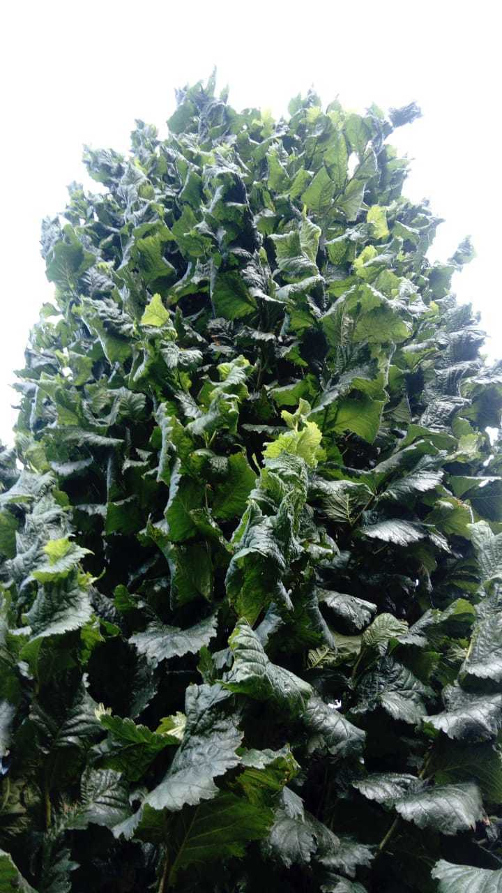 Stockholm diary. August 2-10.2019. Part 1. Наталья Мавренкова интерьерный фотограф, декоратор в Санкт-Петербурге