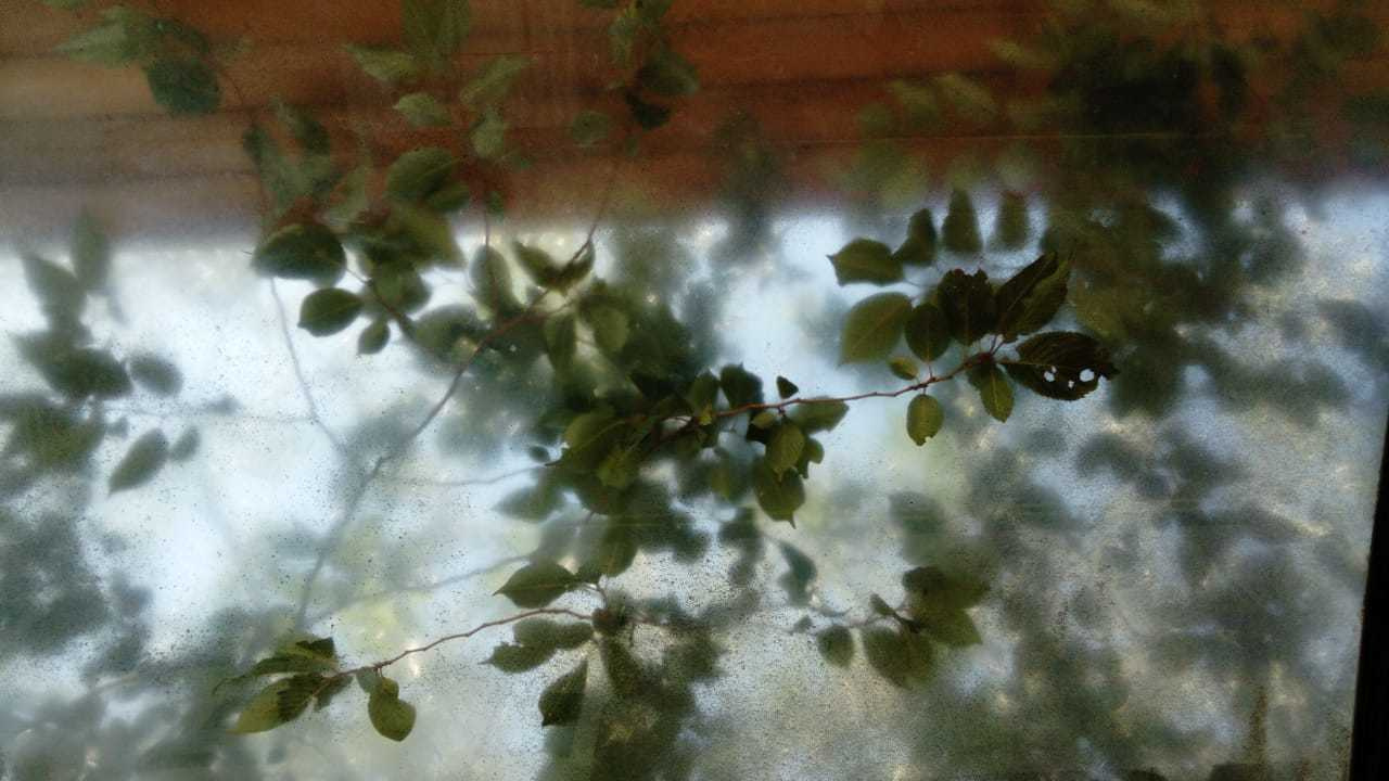 Stockholm diary. August 2-10.2019. Part 1. Наталья Мавренкова интерьерный фотограф, декоратор в Санкт-Петербурге