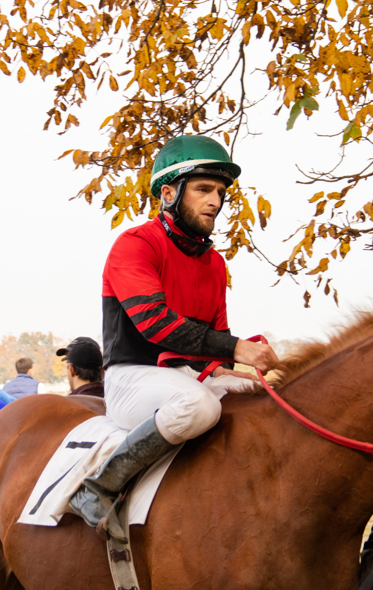 Закрытие скакового сезона на Краснодарском ипподроме. Репортажный, промышленный и маркетплейс-фотограф Дмитрий Чернат