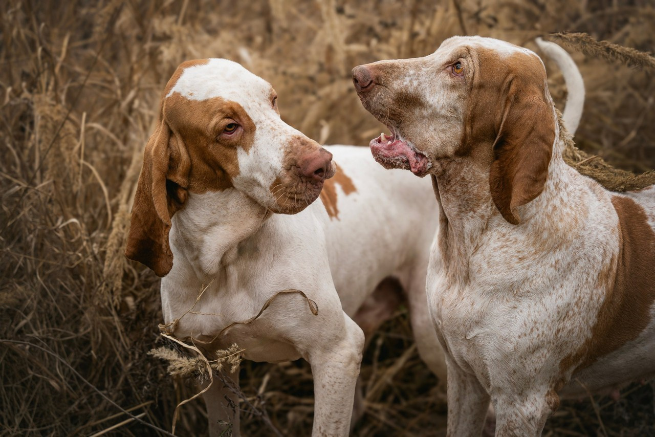 Отзывы. Семейный фотограф анималист г. Находка