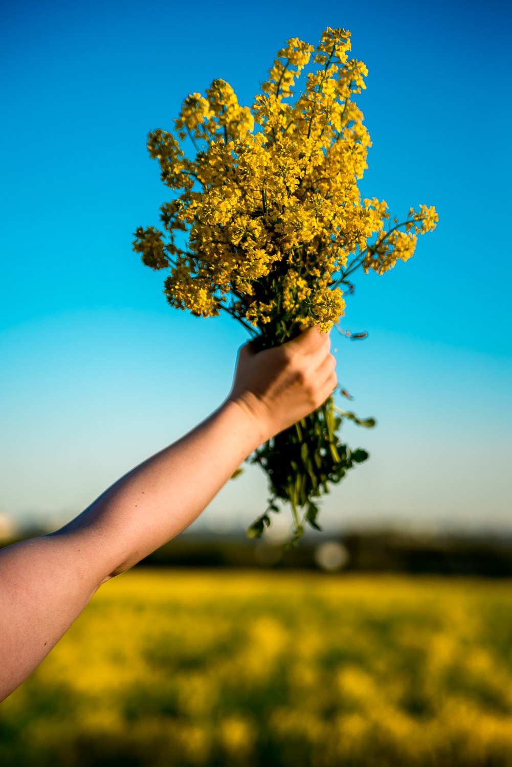 Фотопрогулки. Фотограф в Санкт-Петербурге