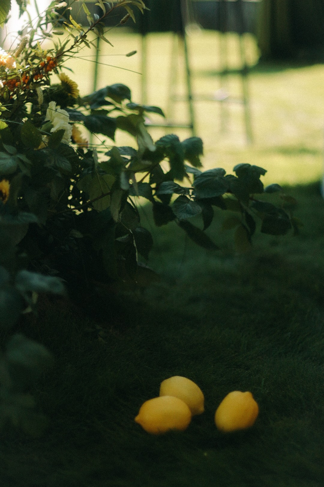 Владимир и Наталья. Фотограф Нижний Новгород