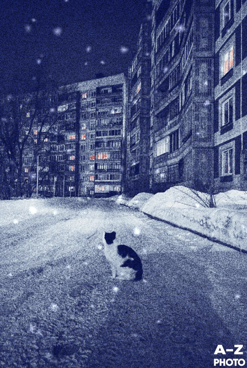 #ФОТОНЕДЕЛИ 08.12.2025. Женский семейный фотограф Тула Москва Захарова Анна