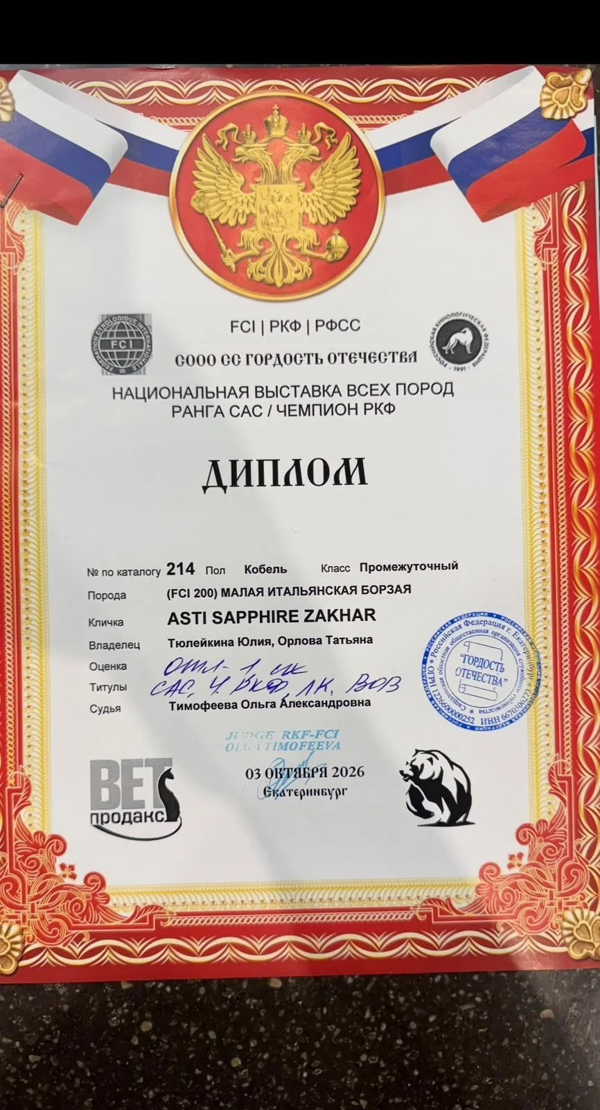 Сразу два шоу чемпиона!. Professional Italian Greyhound Kennel RKF/FCI ASTI SAPPHIRE 💎 Sochi|St. Petersburg