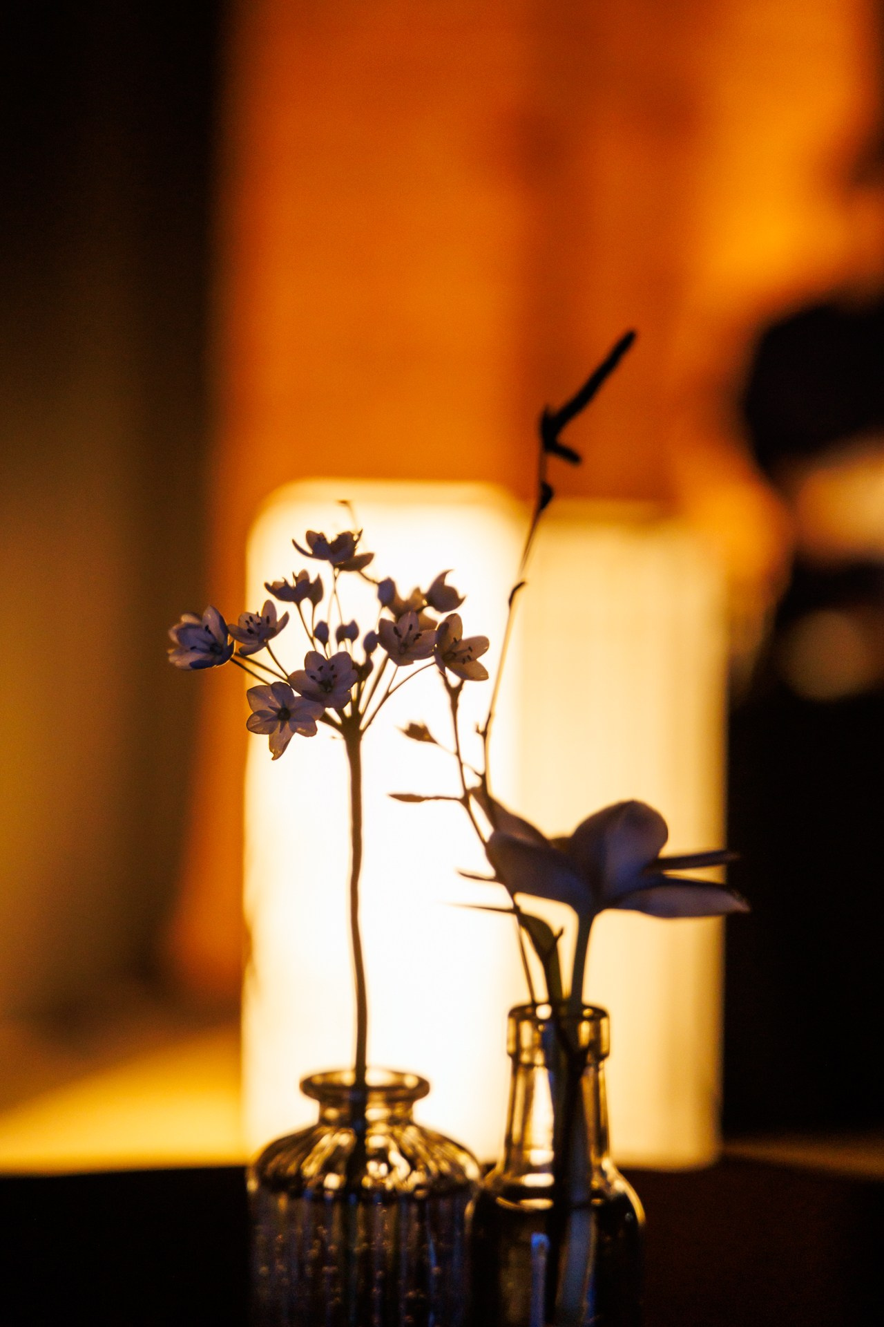 LEGENDA AWARDS. Фотограф в Санкт-Петербурге Гладкий Сергей