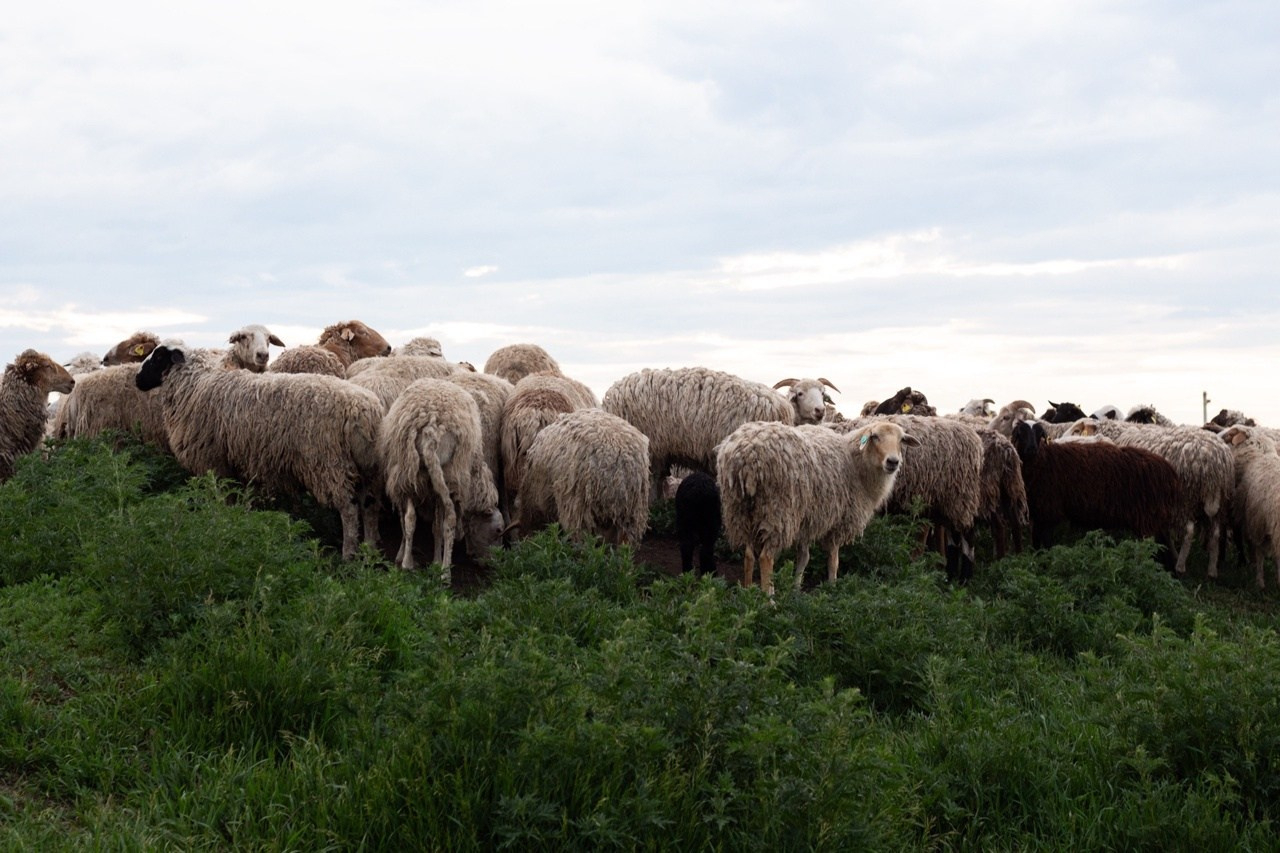 Творческая съёмка. Фотограф в Иркутске, Харитонова Елизавета