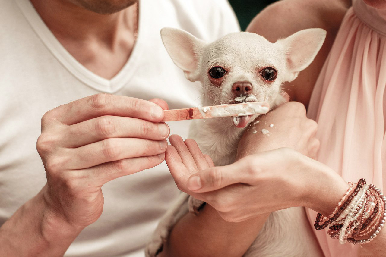 LADIES & GENTLEMEN nature. Evgeniia Sinkevich. Photographer in Riga and Europe