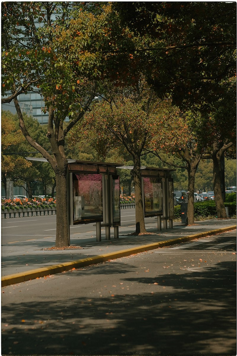 Китай. Портретный и репортажный фотограф в Санкт-Петербурге Дарья Сибирякова