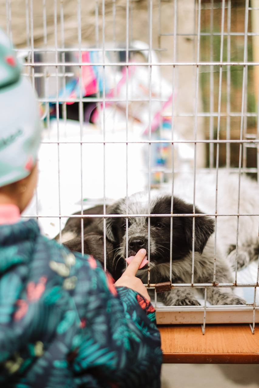 Репортаж. Фотограф в Санкт-Петербурге Мария Комолитдинова