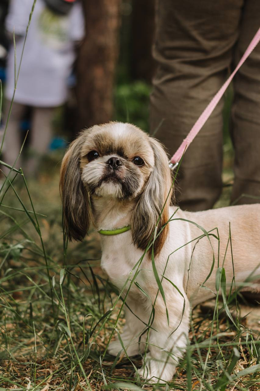 Репортаж. Фотограф в Санкт-Петербурге Мария Комолитдинова