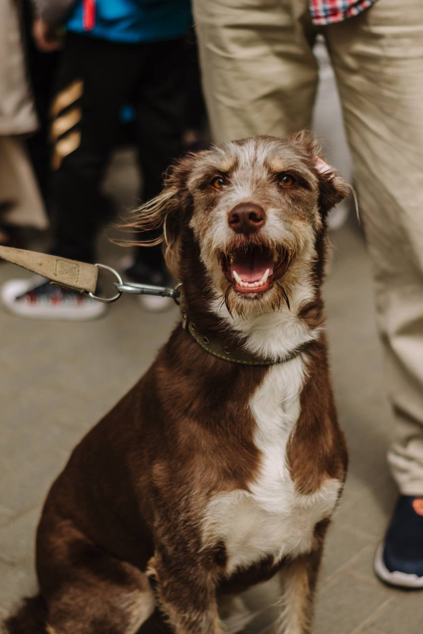 Репортаж. Фотограф в Санкт-Петербурге Мария Комолитдинова