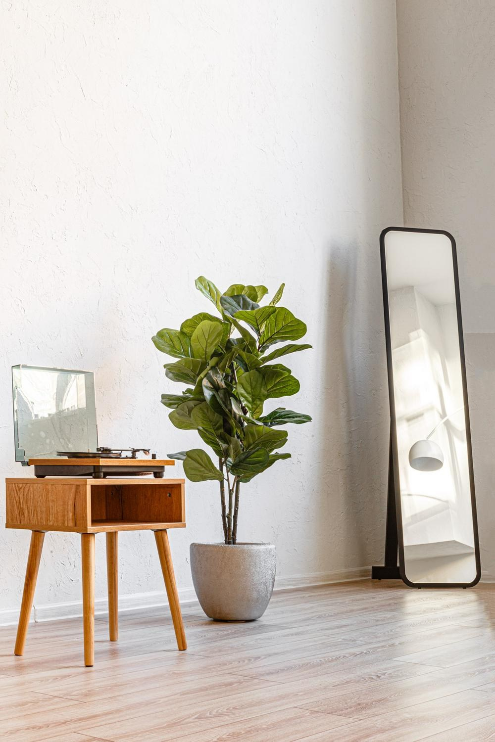 Фотостудии Владивосток. Семейный и свадебный фотограф во Владивостоке