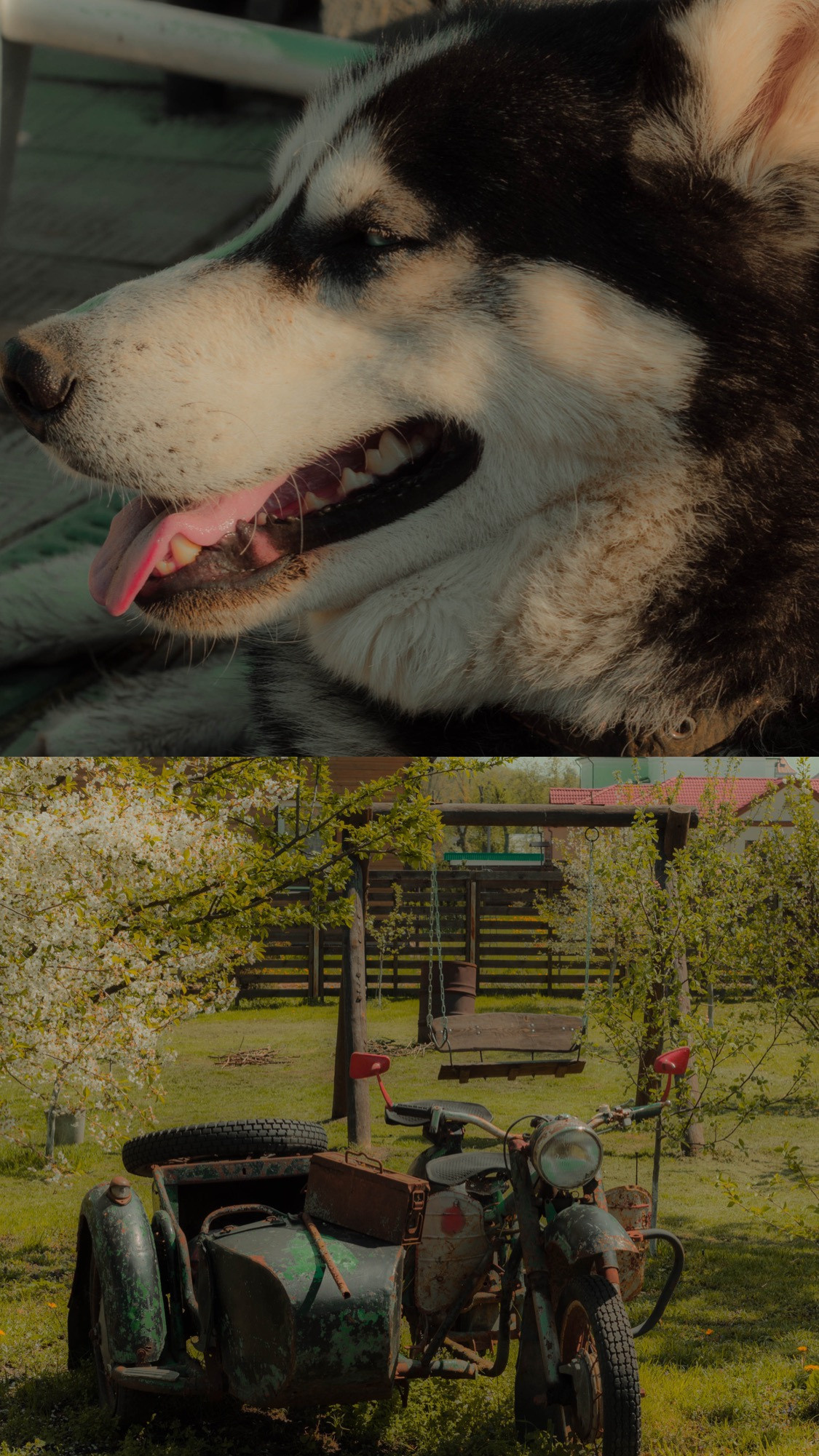 СОН. Photographer Barcelona