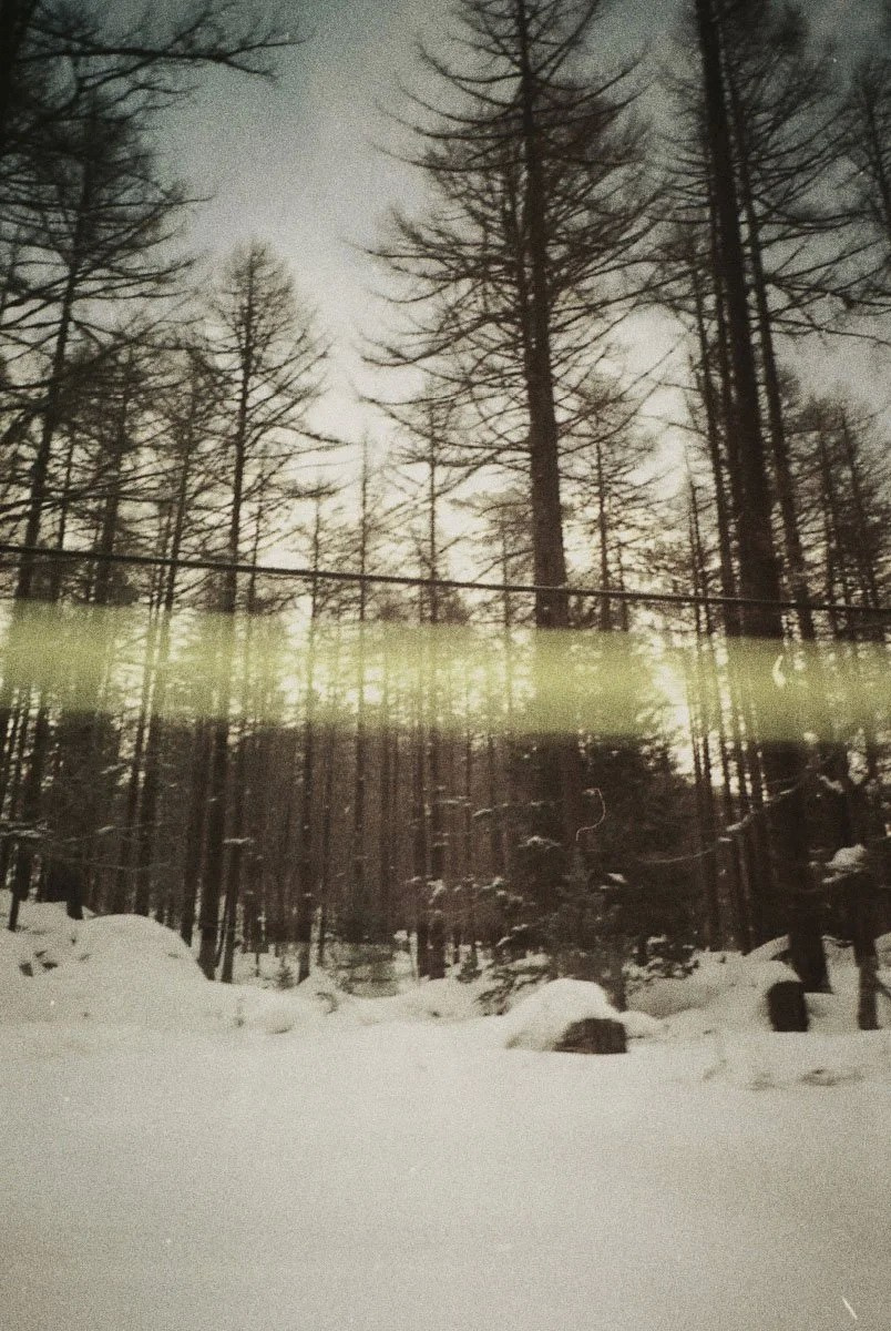 Книга Нины Вивианы Канджалози «The Snow Abides». Private image