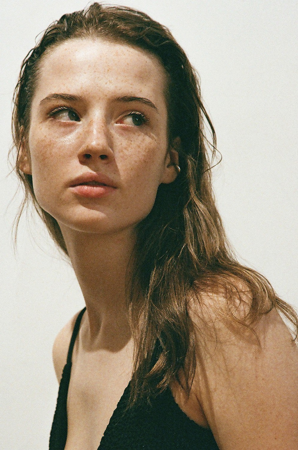 Ariana. Axis model management