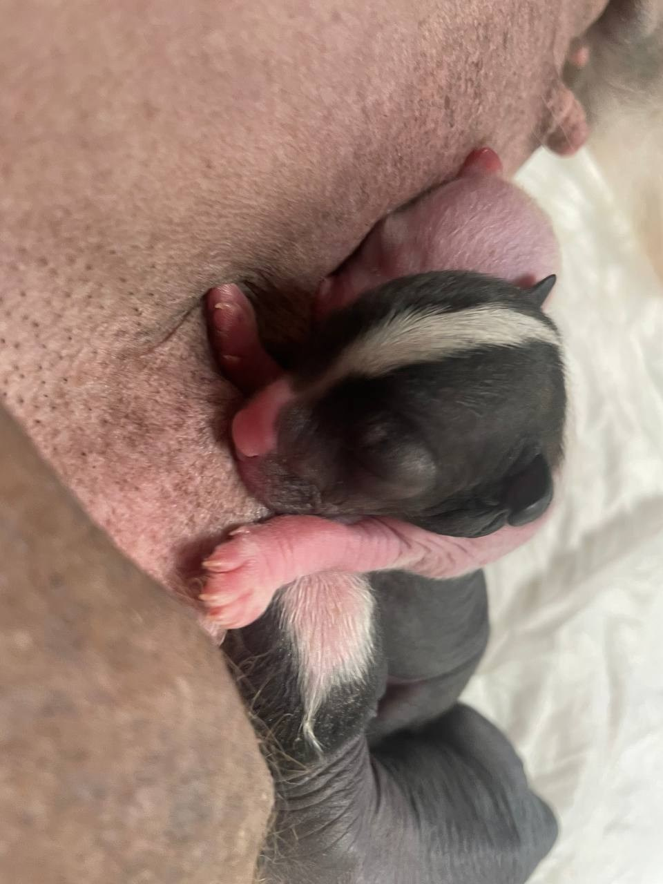 День Рождения